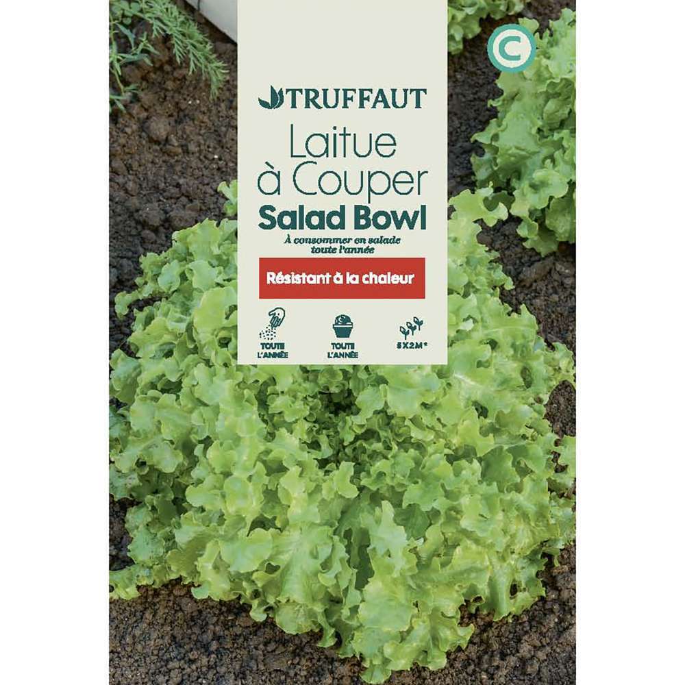 LAITUE SALAD BOWL TRUF-(726143)