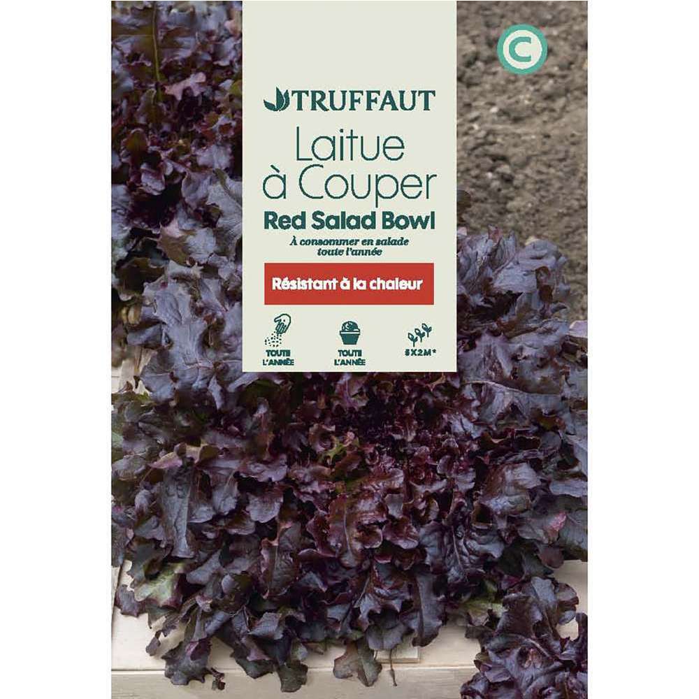 LAITUE RED SALAD BOWL TRUF-(726144)