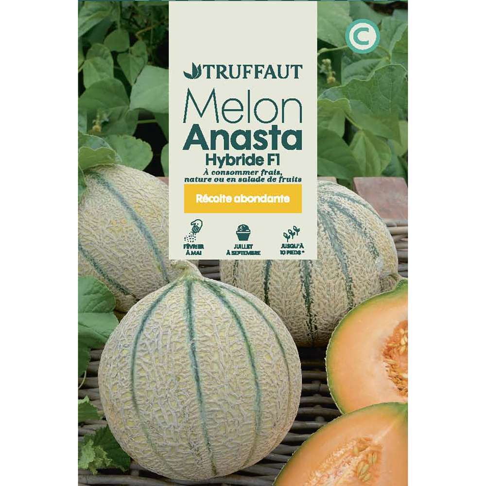 MELON ANASTA F1 TRUF-(726147)