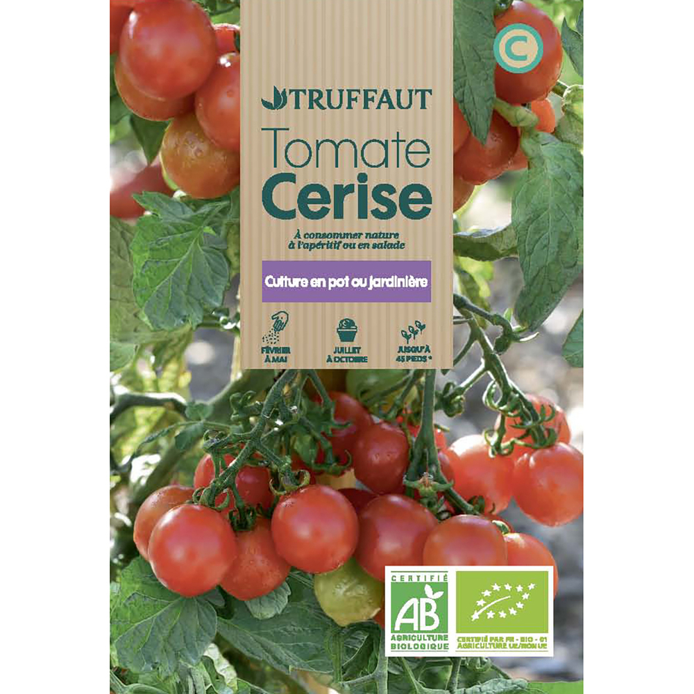 TOMATE CERISE BIO TRUF-(726156)