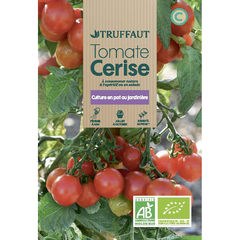 TOMATE CERISE BIO TRUF-(726156)