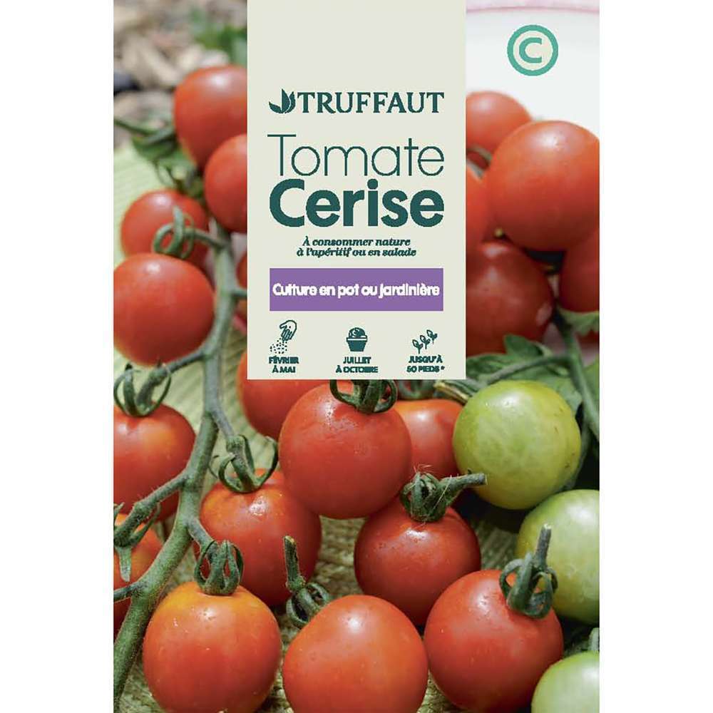 TOMATE CERISE TRUF-(726158)