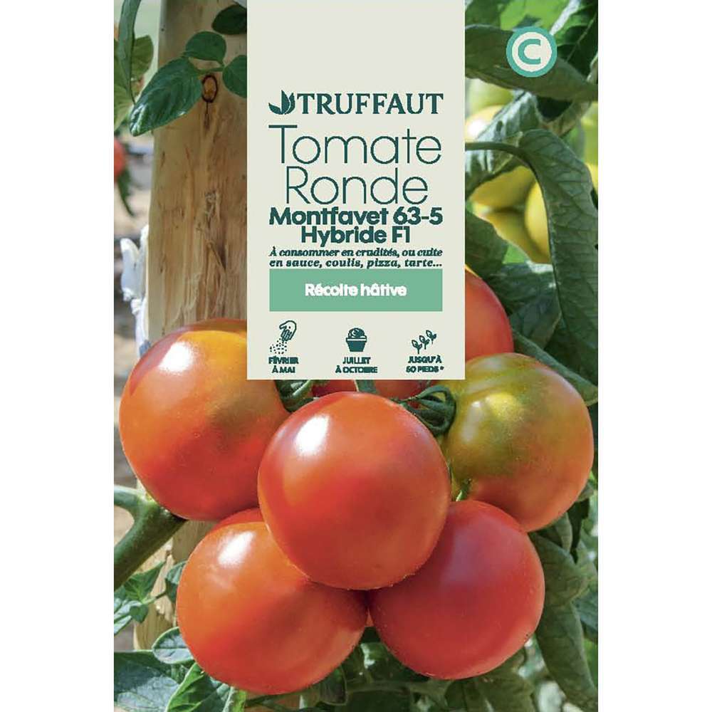 TOMATE MONTRUFAVET HF1 TRUF-(726160)