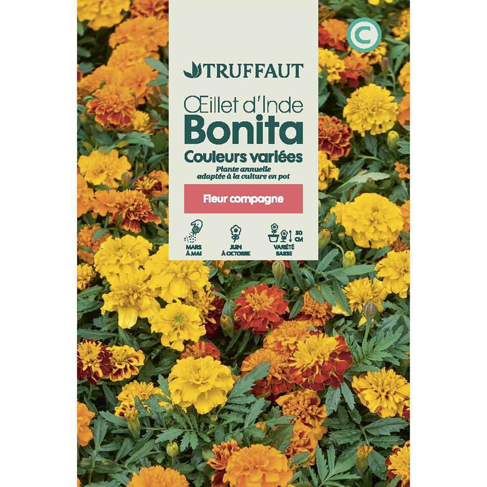 OEILLET BONITA MIX TRUF-(726171)