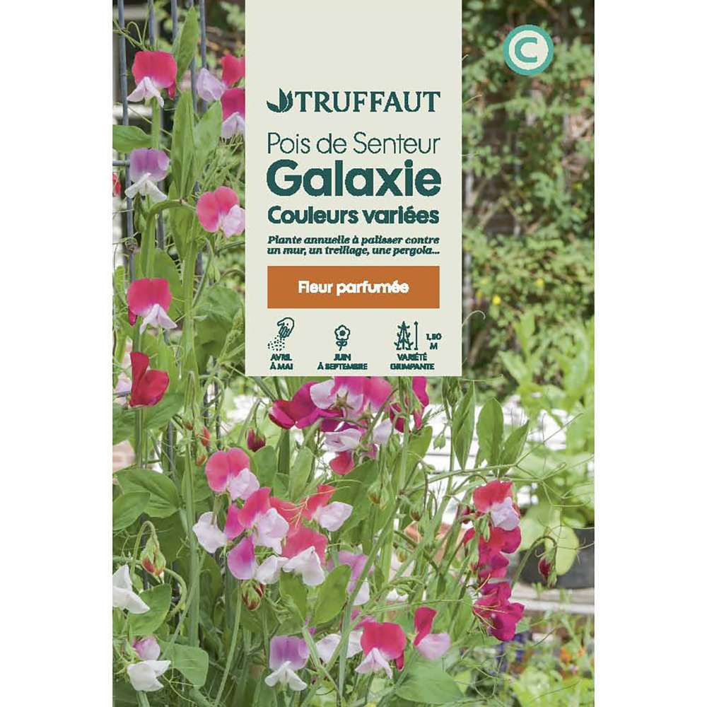 POIS GALAXIE MIX TRUF-(726174)