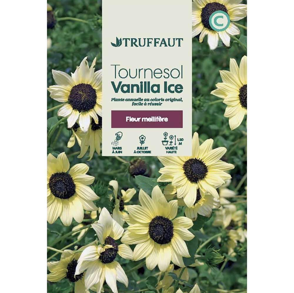 TOURNESOL VANILLA ICE TRUF-(726178)