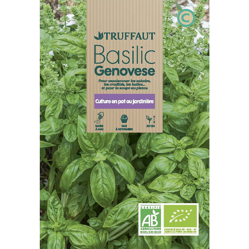 BASILIC GENOVESE BIO TRUF-(726184)