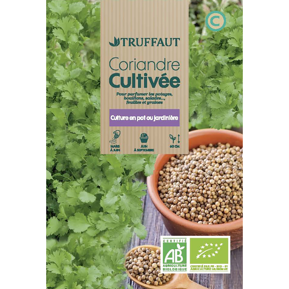 CORIANDRE BIO TRUF-(726185)
