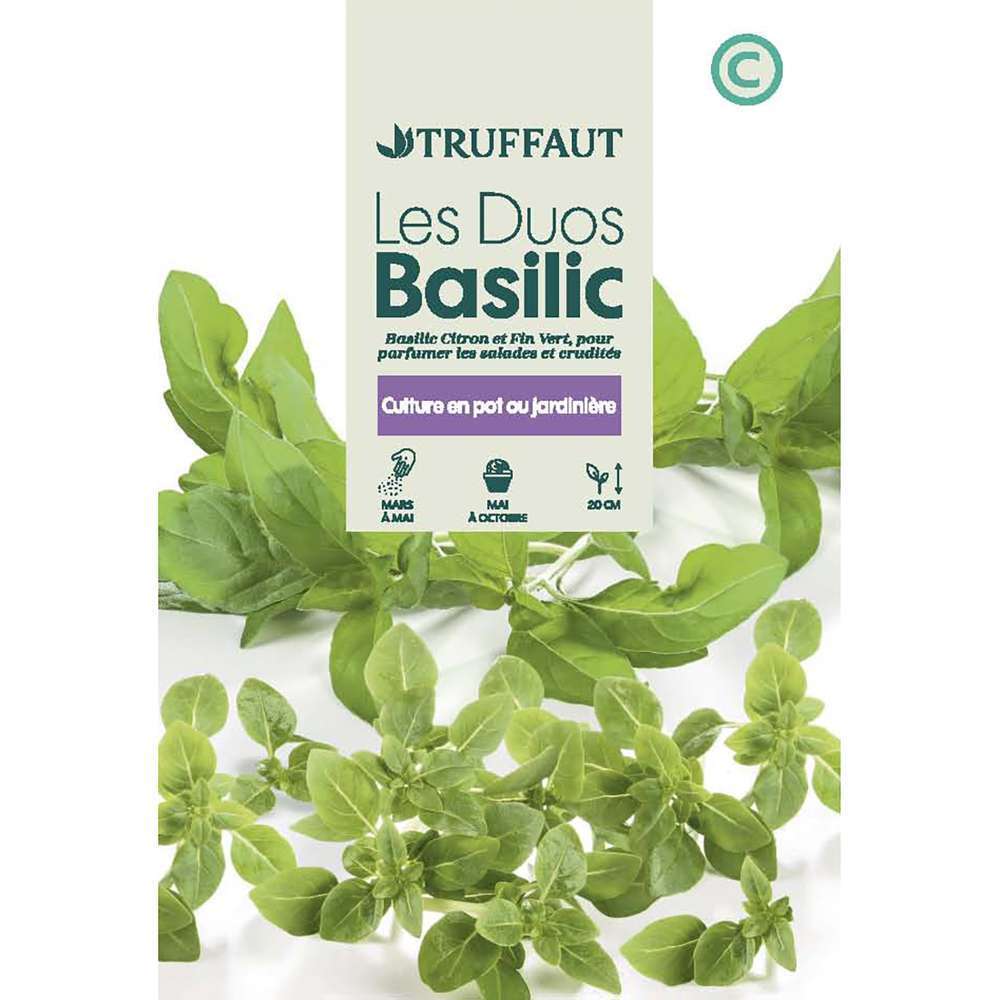DUO BASILIC TRUF-(726189)