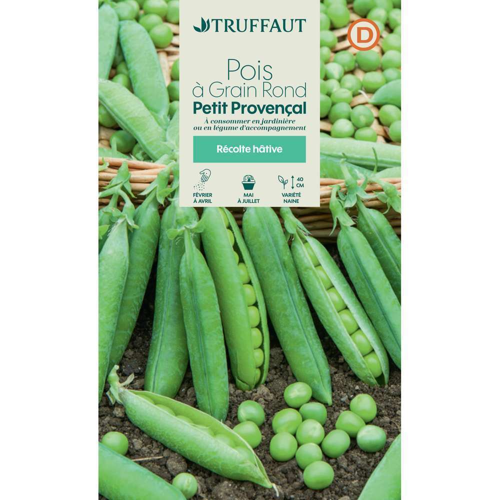 Pois nain Ã  grain rond petit provencal
