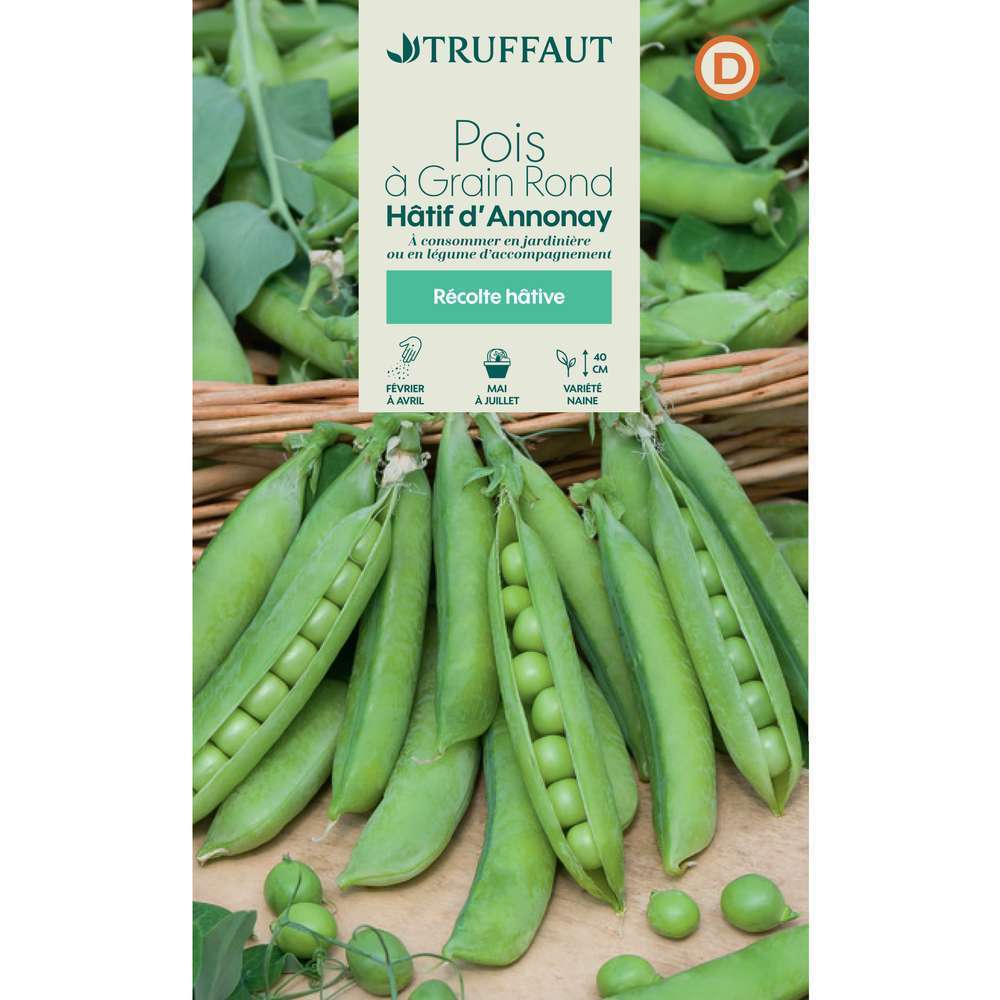 Pois nain Ã  grain rond trÃšs hatif dâAnnonay