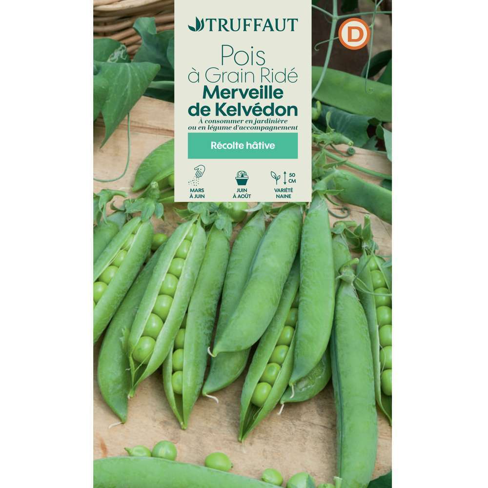 Pois nain Ã  grain ridÃ© Merveille de Kelvedon

