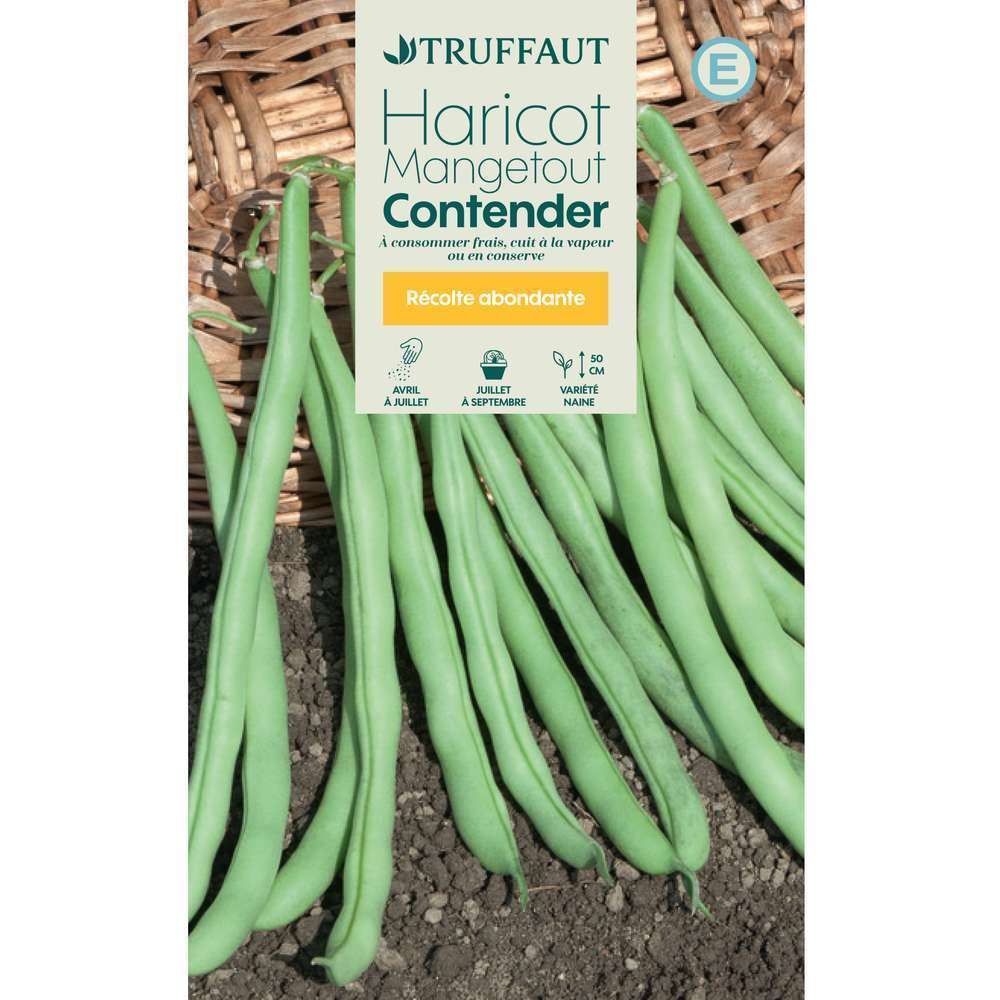 Haricot nain mangetout Contender
