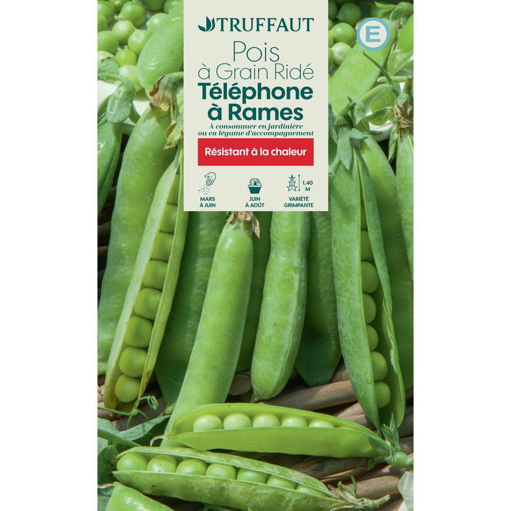 Pois Ã  rames Ã  grain ridÃ© telephone Ã  rames
