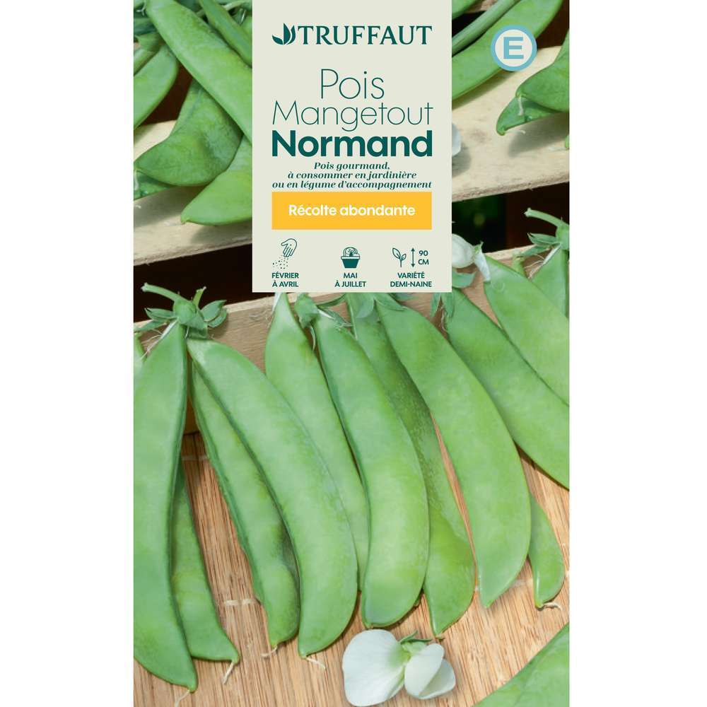Pois demi nain mangetout normand 
