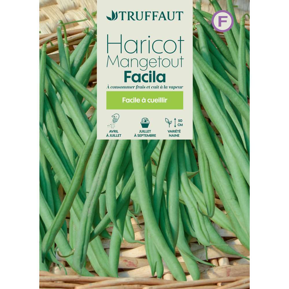 Haricot nain Facila : en boite
