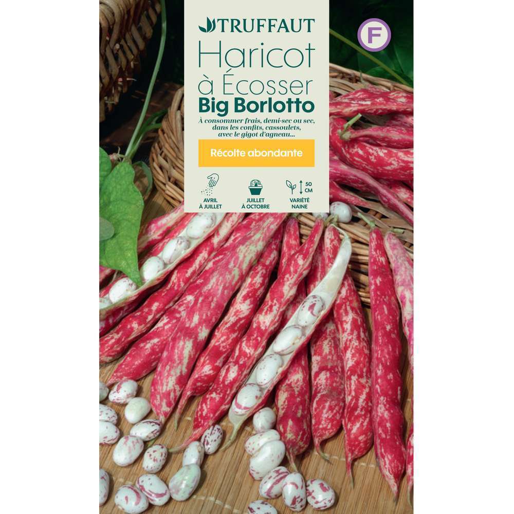 HARICOT BIG BORLOTTO TRUF-(726212)