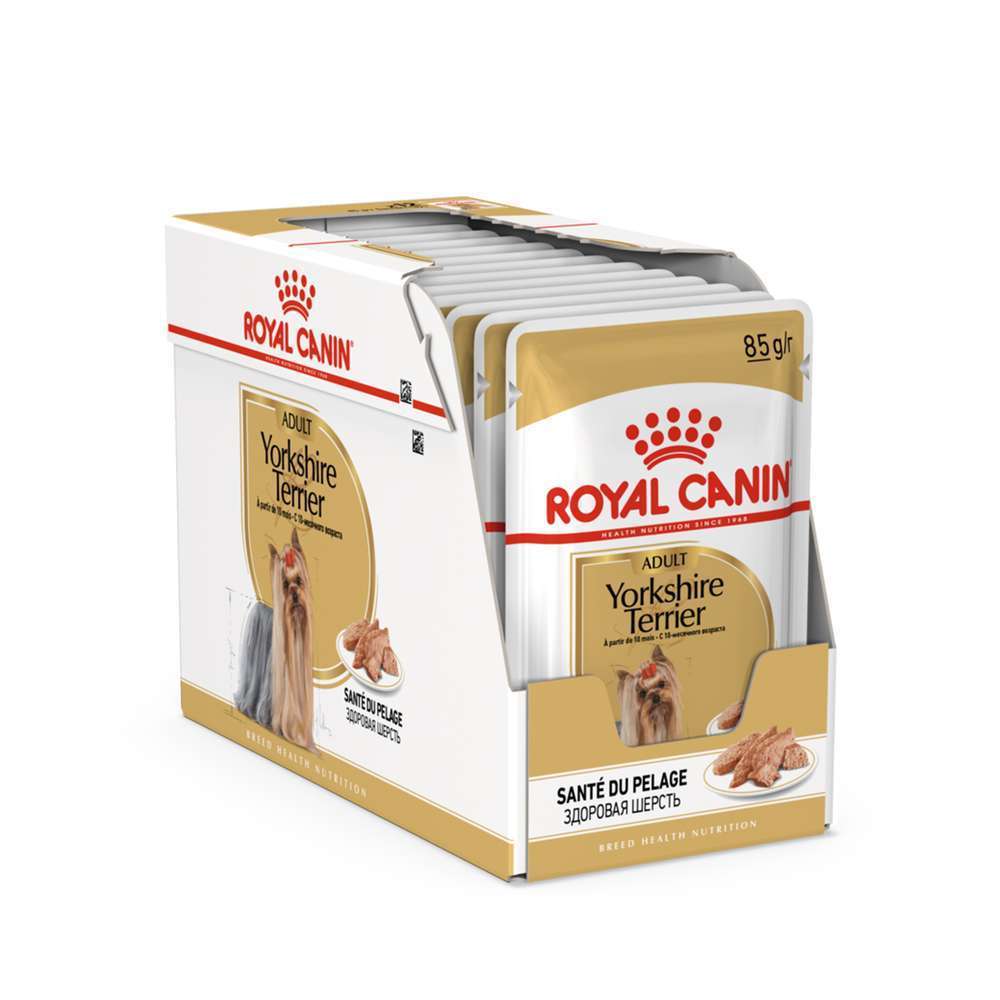 Sachet Royal Canin spécial yorkshire terrier en mousse - 12x85 g