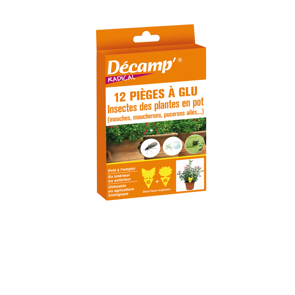 Pièges à glu, insectes des plantes en pot - 12 pièces