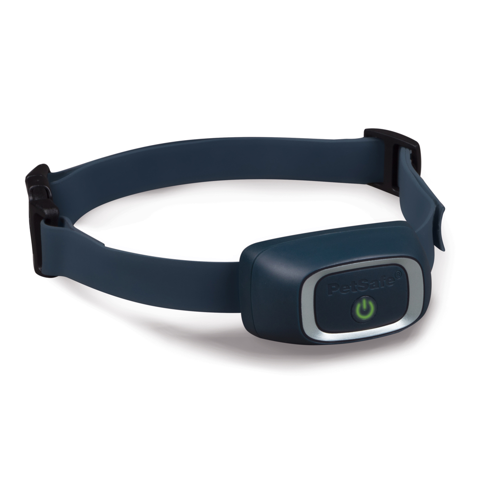 PAC19-16360 COLLIER SUPPL POUR-(730964)