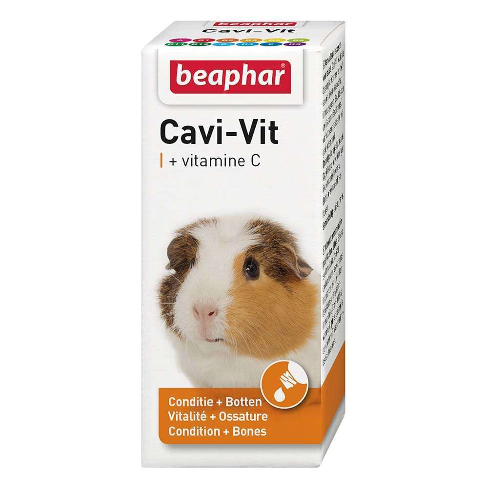 Vitamine C pour cochon d'inde Vitalvéto