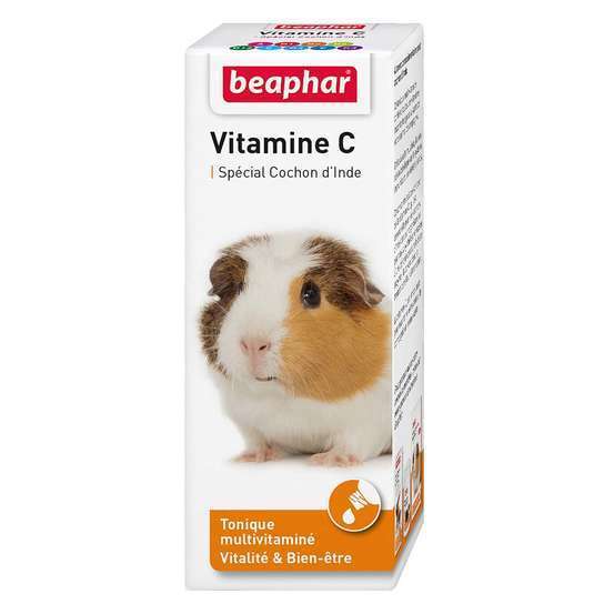 Vitamine C, cochon d’Inde 100 ml