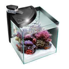 Aquarium Newa More Reef, pour poissons eau de mer: Noir, 28L