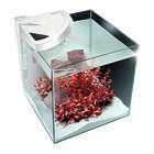 Aquarium Newa More, pour poissons eau douce: Blanc, 45L