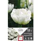Tulipe double hâtive Mondial 12/+ : 10 bulbes