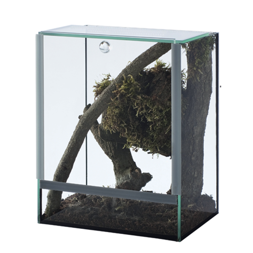 TERRARIUM INSECTES-(735019)