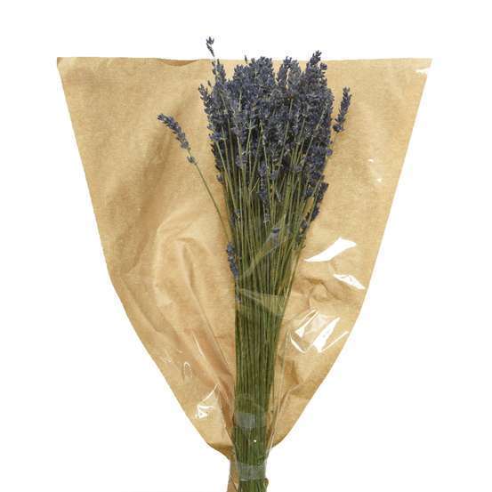 Bouquet de lavande séchée H.50 cm violet | Truffaut