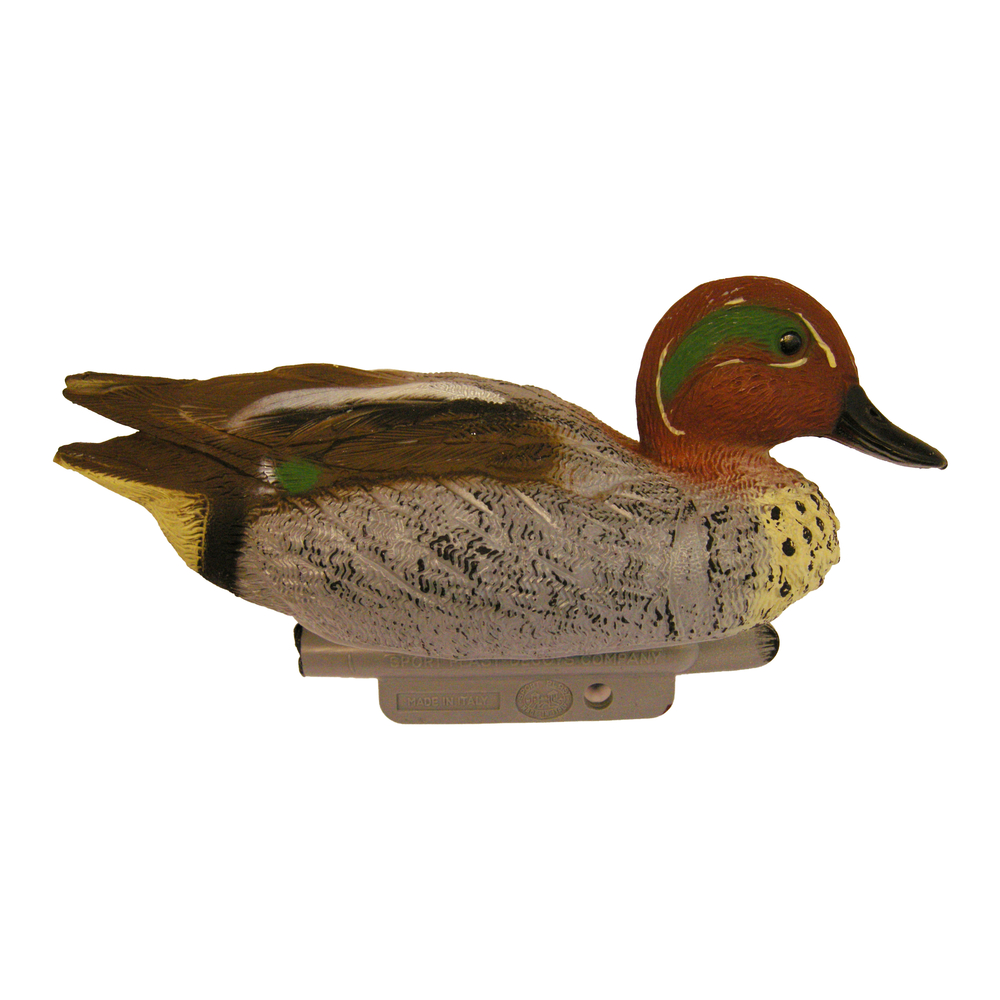 SARCELLE MALE-(736748)