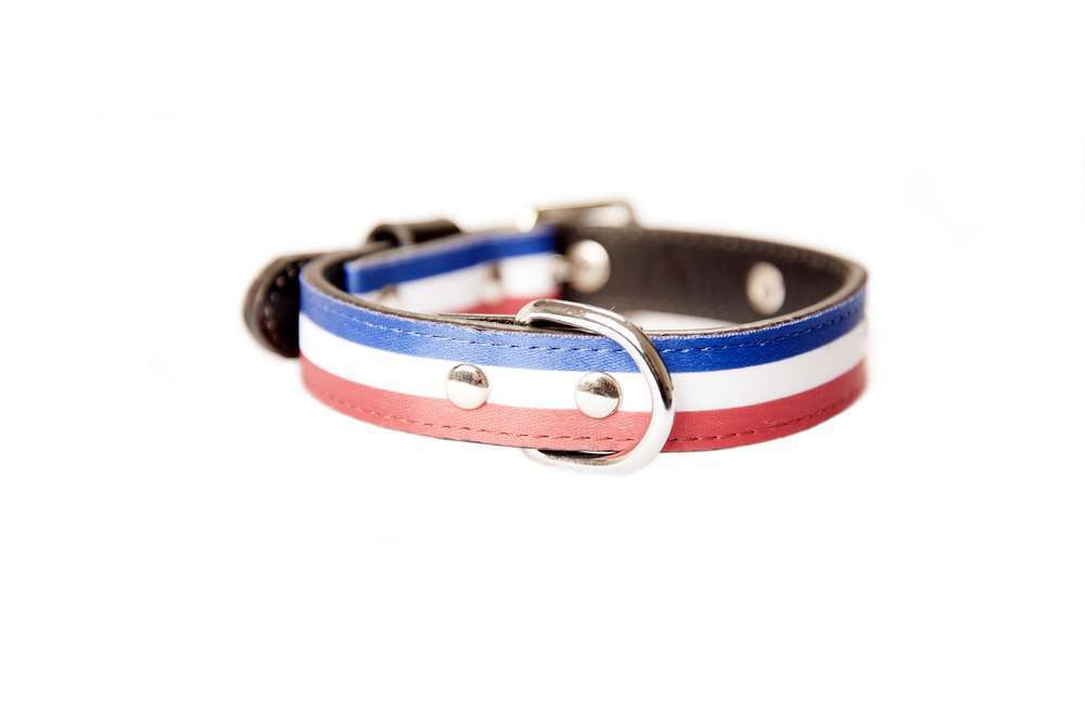 Collier Gun pour chien: Bleu/blanc/rouge, taille S