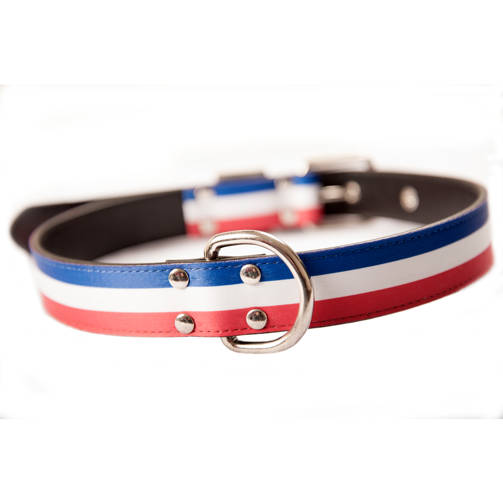Collier Gun pour chien: Bleu/blanc/rouge, taille XXL
