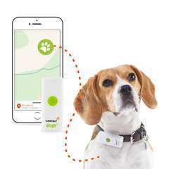 Collier traceur GPS pour chien