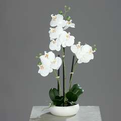 Orchidee artificielle 3 hampes en coupe ceramique H 45 cm toucher reel