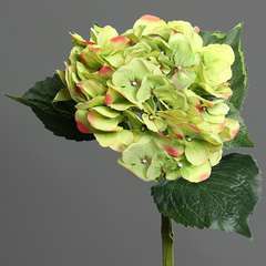 Hortensia artificiel en tige 1 tete 3 feuilles H 50 cm Top Vert-rose