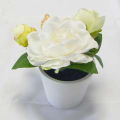 Roses artificielles en pot Blanc H 14 cm Composition adorable Crème