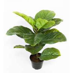 Ficus Lyrata artificiel Vert H 40 cm en pot superbe effet