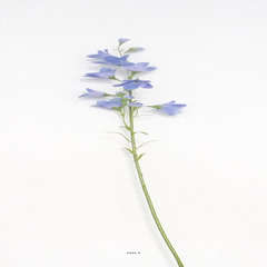 Campanule artificielle des champs H 65 cm ideale bouquet Bleu ciel
