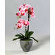 Orchidee artificielle 2 hampes pot Ceramique H 57 cm toucher reel Rose