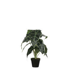 Plante artificielle : Pot Alocasia D.30 x H.50 cm