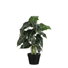 Plante artificielle : Pot Alocasia D.30 x H.60 cm