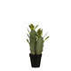 Cactus Vert en pot plastique H32xd9.5cm