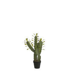 Cactus Vert en pot plastique H62xd14cm