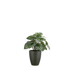 Plante artificielle : Pot peperomia D.10 cm