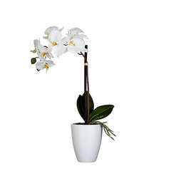 Plante artificielle : Pot phalaenopsis blanc D.20 x H.42 cm
