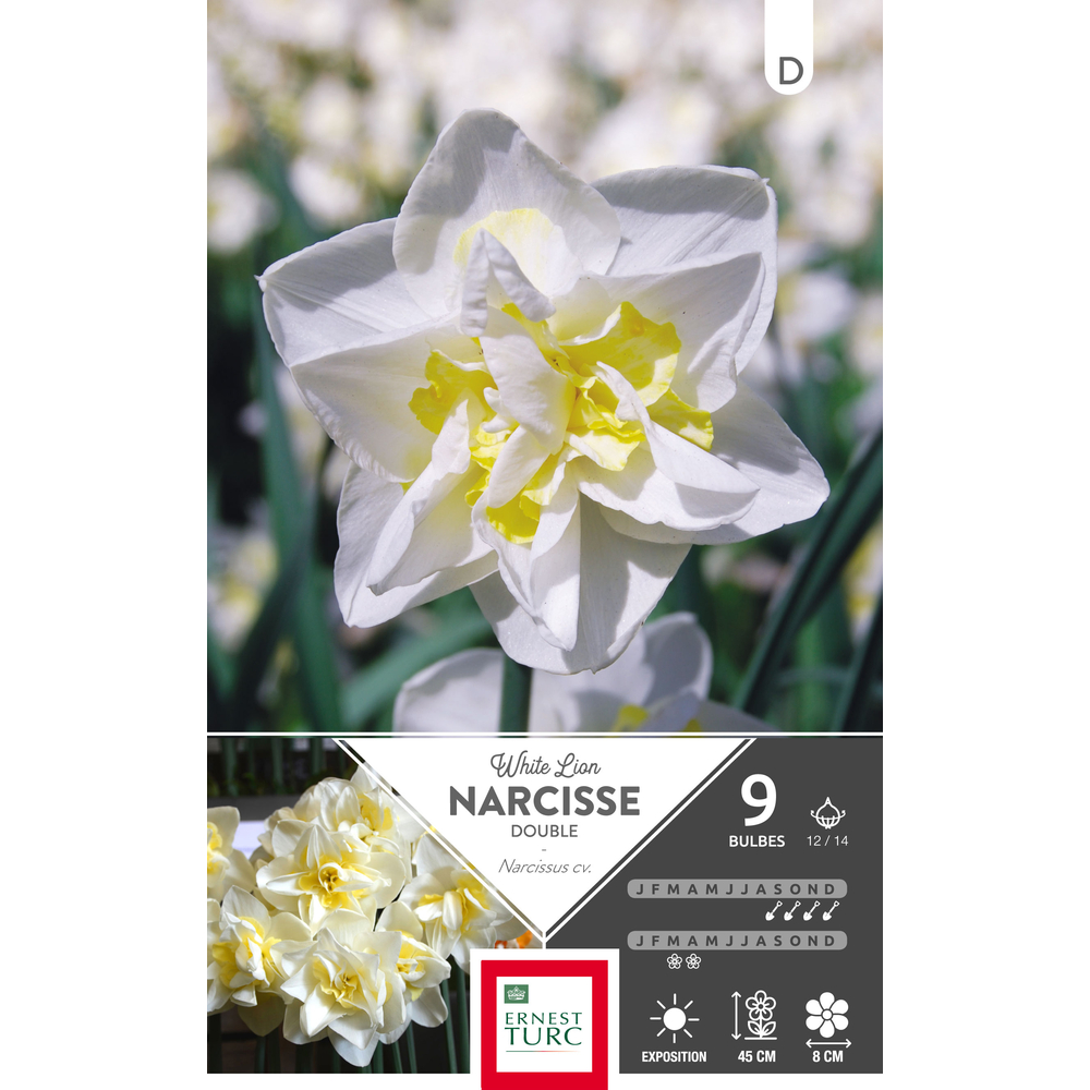 Bulbes de narcisses doubles 'White Lion' - x9