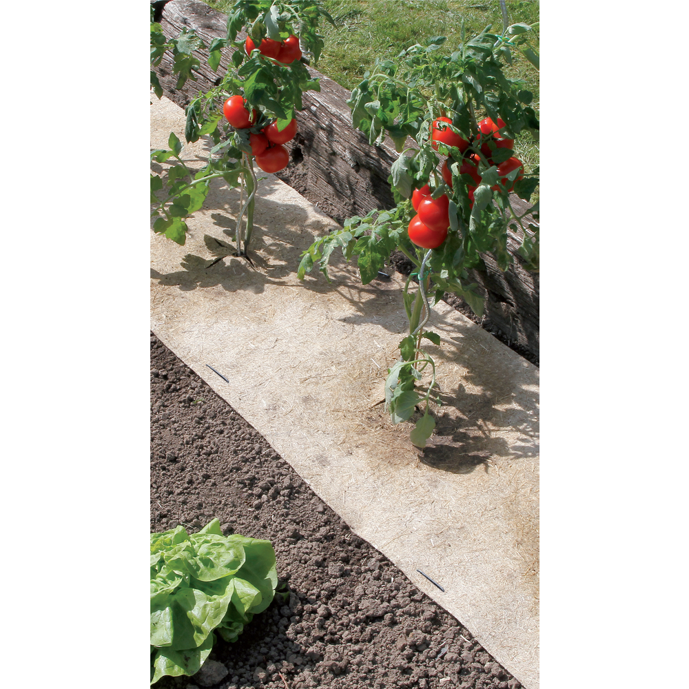 Paillage CHANVRELIN tomate 500G m2 50x300cm