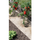 Paillage CHANVRELIN tomate 500G m2 50x300cm